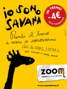 ADV - Zoom & SFM.jpg