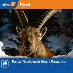 Pont
